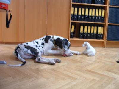gwen und snoop